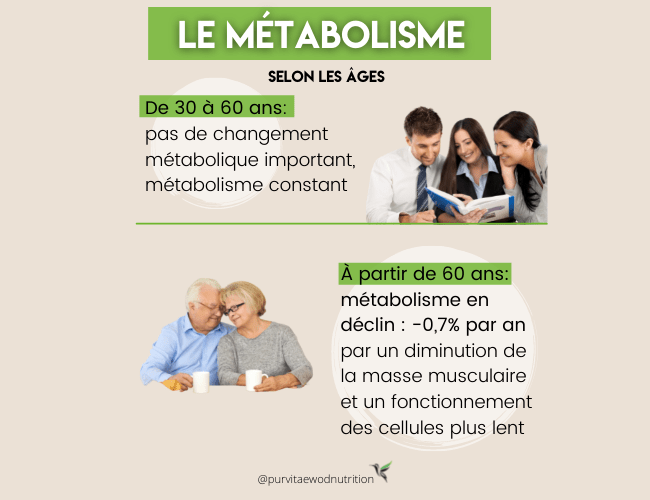 metabolisme 30 ans et plus